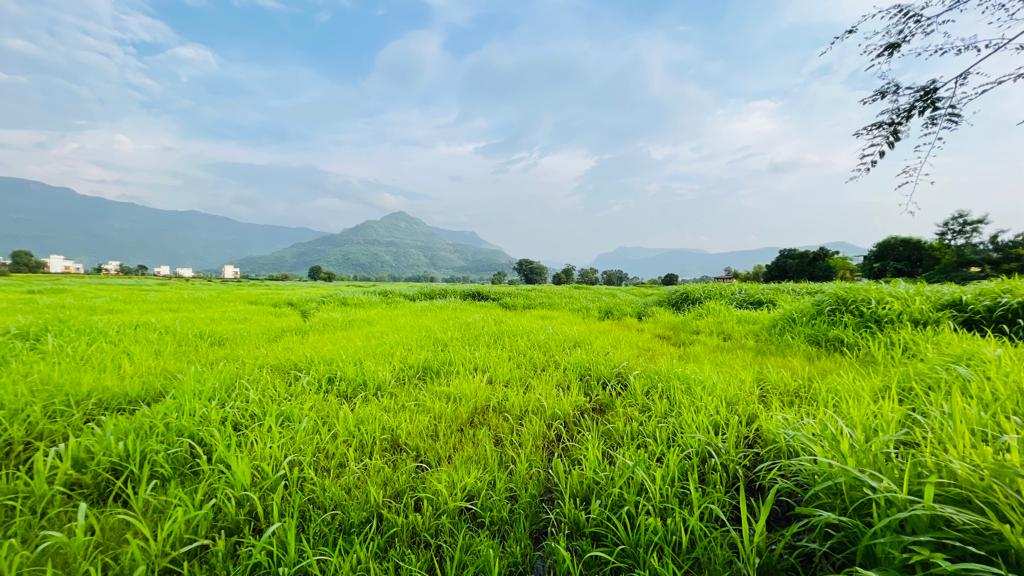 Gaothan touch 1:1 FSI 10+ Acre land for sale in Karjat.