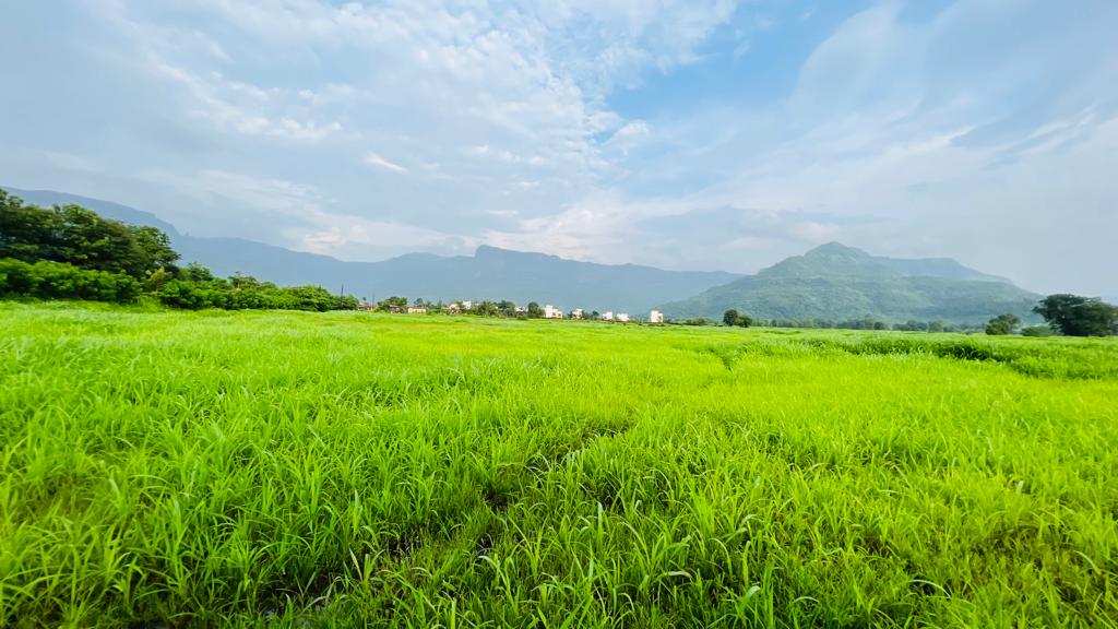 Gaothan touch 1:1 FSI 10+ Acre land for sale in Karjat.