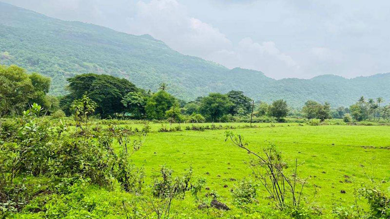 waterfall & Mountains view 7 acre expandable 1:1 FSI  land for sale at Karjat.