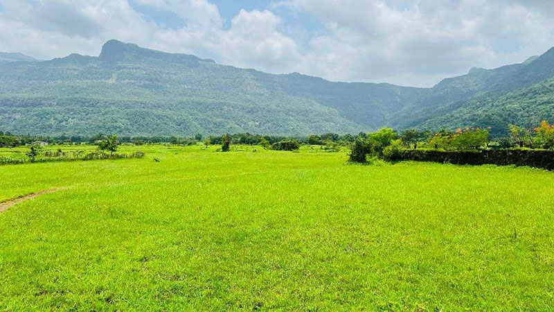 Waterfall & Mountain View 7 Acre Land For Sale Next to RADDISON BLU Resort Karjat.