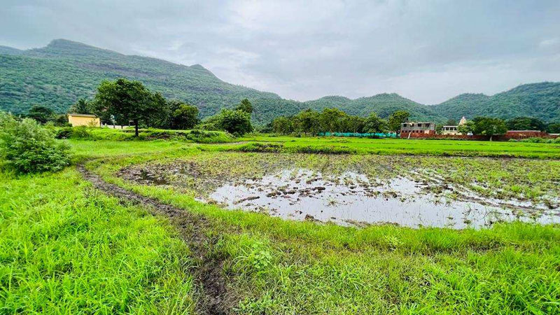 waterfall, Mountains, Fog & Forest view 5 to 10 acre agriculture land for sale at Karjat.