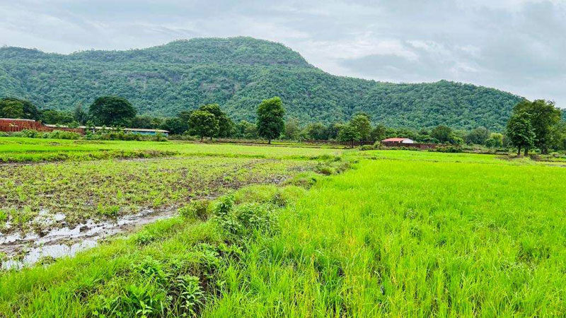 waterfall, Mountains, Fog & Forest view 5 to 10 acre agriculture land for sale at Karjat.