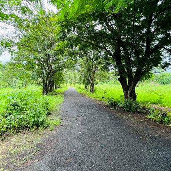 Karjat-Chowk Highway Touch 10 acre agriculture land for sale.