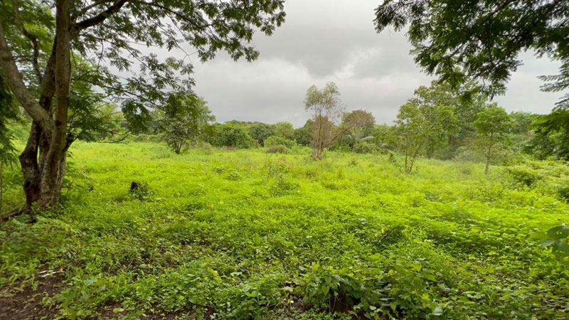 Karjat-Chowk Highway Touch 10 acre agriculture land for sale.