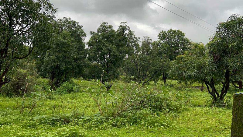 Karjat-Chowk Highway Touch 3.5 acre agriculture land for sale.
