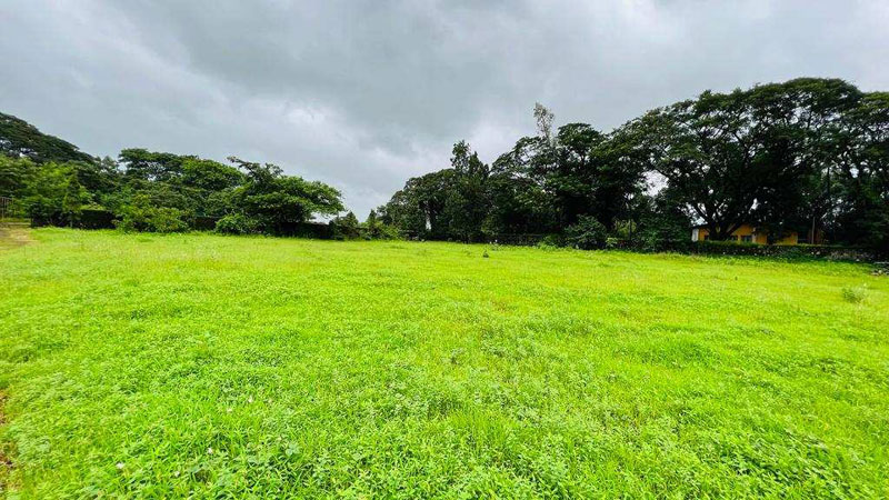 4.5 acre agriculture land for sale 5 Km from ND Stuido.