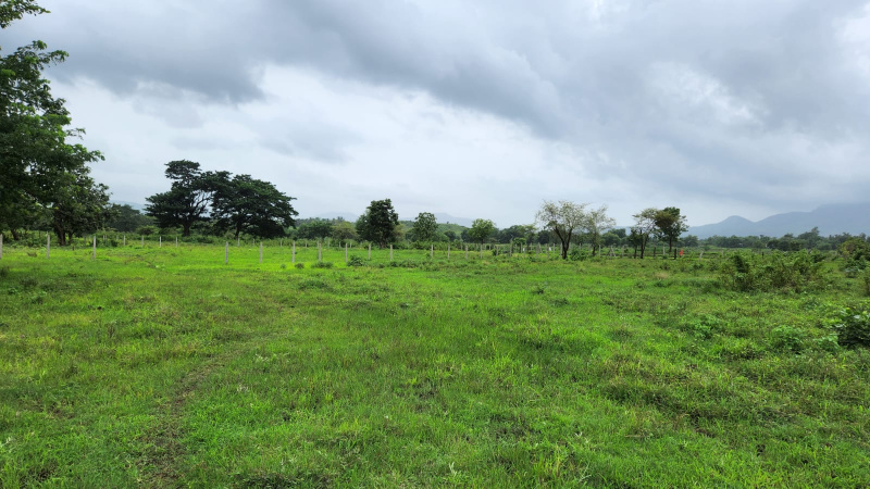 Mountain view 8 Acre agriculture land for sale just 8 km from karjat station.