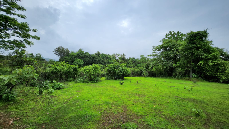 2 Acre rivertouch land for sale 15 km from Karjat.
