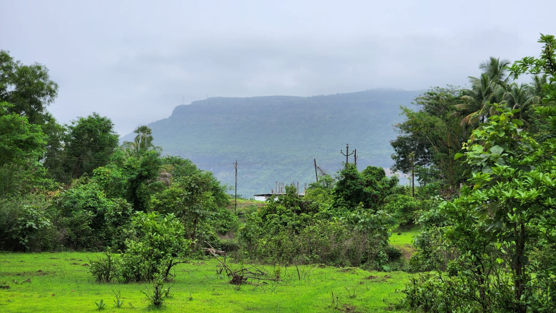 2 Acre rivertouch land for sale 15 km from Karjat.