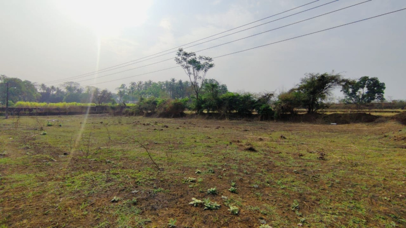 12 month flowing River touch 16 Acre Agriculture land for Sale in Karjat.