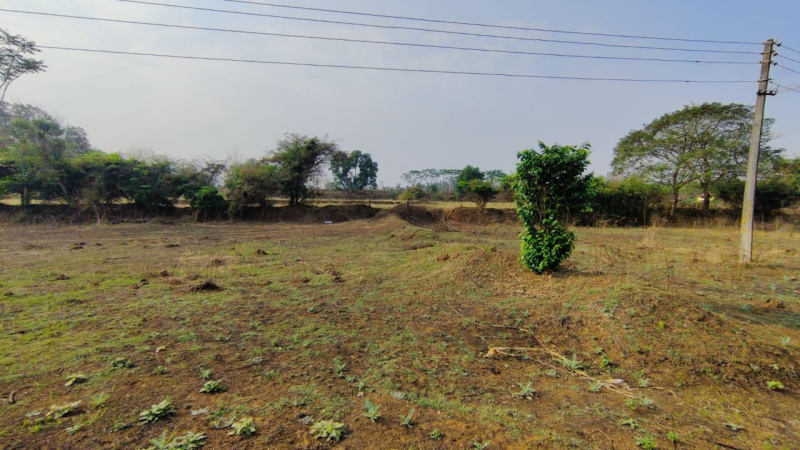 12 month flowing River touch 16 Acre Agriculture land for Sale in Karjat.