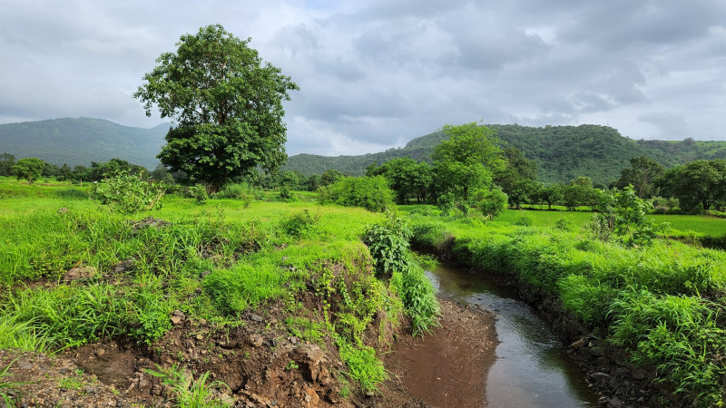 Water stream touch 30 Guntha Agriculture land for sale 9km from karjat.