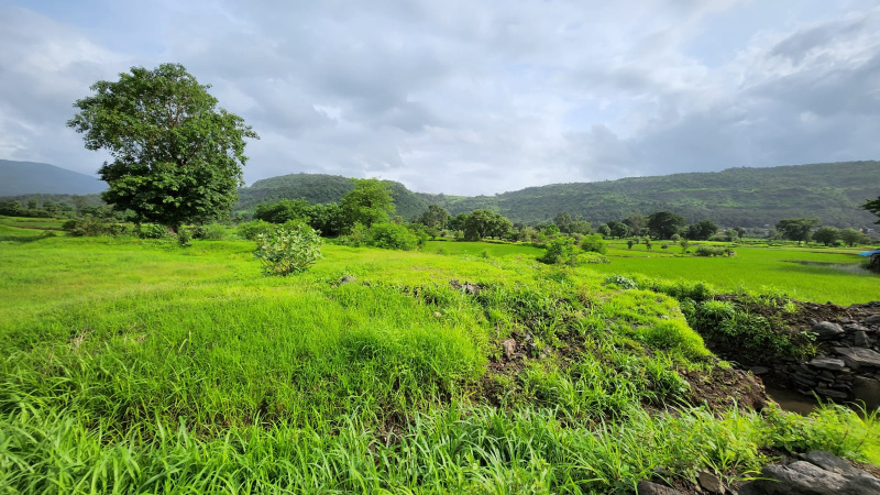 Water stream touch 30 Guntha Agriculture land for sale 9km from karjat.