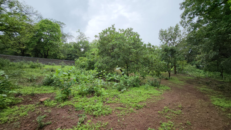 Mountain & Forest touch Agriculture land with big trees for sale at village Bhivpuri, Karjat.