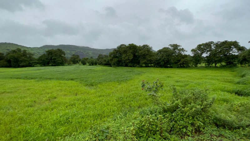 20 Acre Gaothan touch land for sale just 4 km from Karjat.