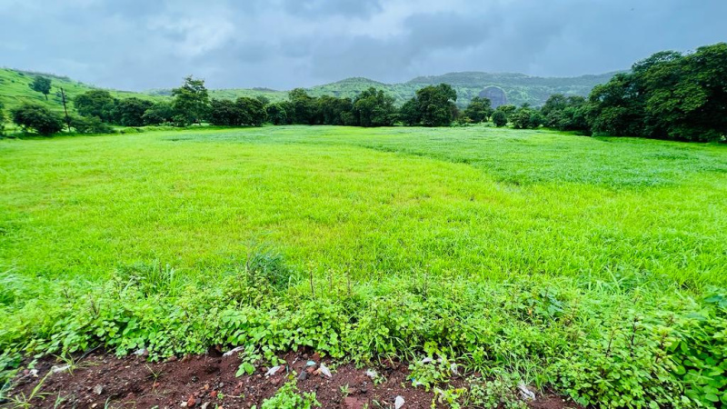 20 Acre Gaothan touch land for sale just 4 km from Karjat.