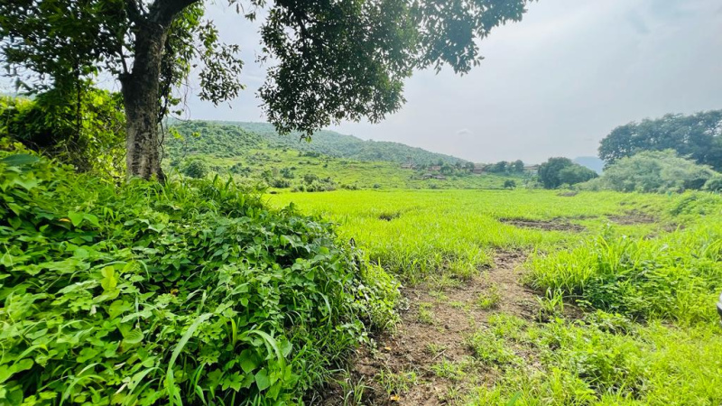 Moutain & Waterfall View 5 Acre 1:1 FSI Land for sale in KARJAT.