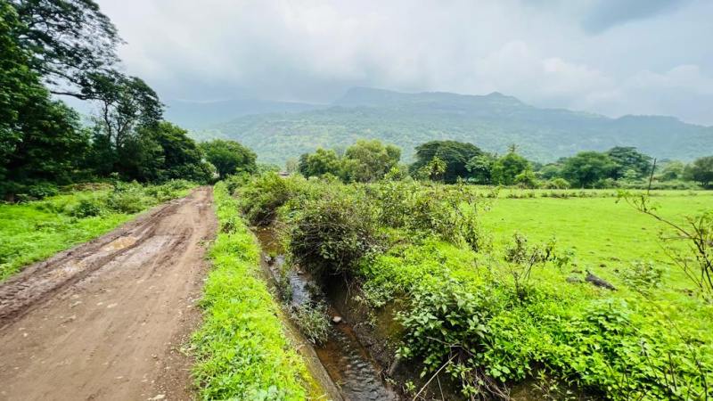waterfall & Mountains view 7 acre expandable 1:1 FSI  land for sale at Karjat.