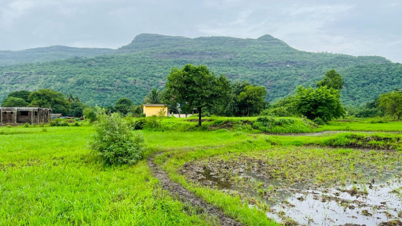 waterfall, Mountains, Fog & Forrst view 10 acre agriculture land for sale at Karjat.