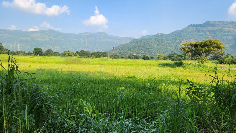 Mountain & waterfall view 50 Guntha Agriculture land for sale 15 km from Karjat.
