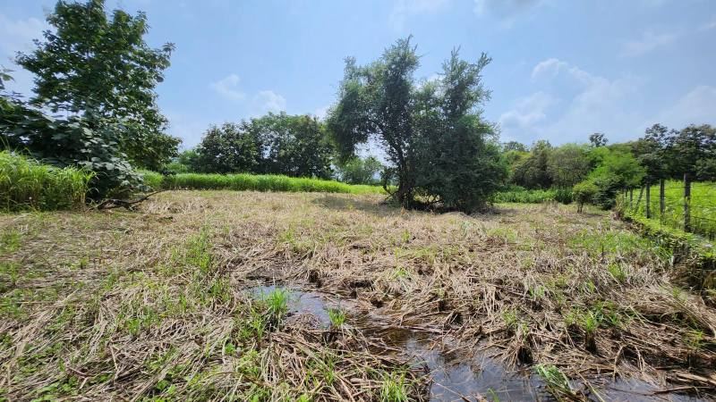 1 Acre Agricultural/Farm Land for Sale in Karjat, Mumbai