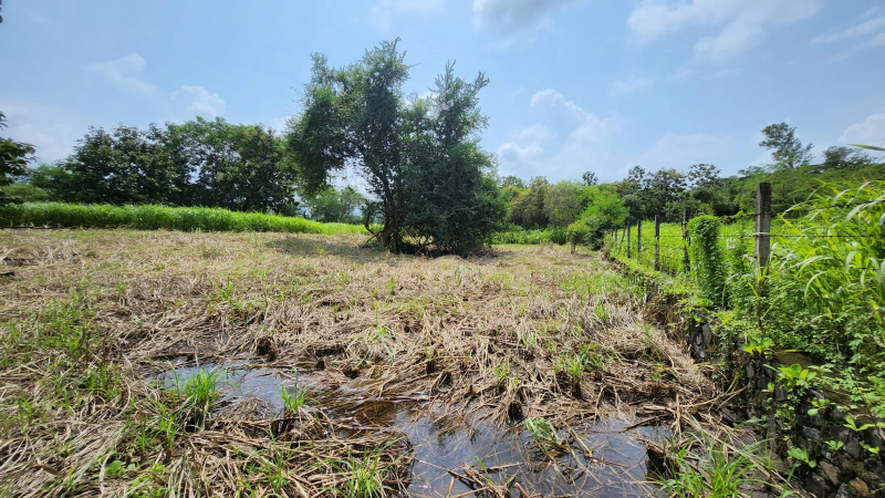 1 Acre Agricultural/Farm Land for Sale in Karjat, Mumbai