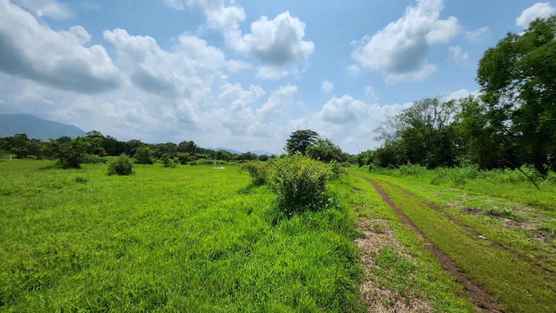 53 Gunthe Agriculture land for sale just 7.5 km from Karjat Station.