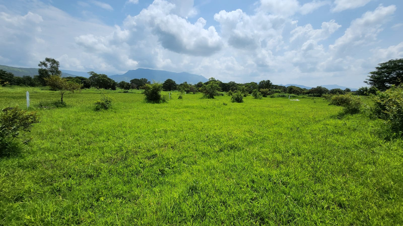53 Gunthe Agriculture land for sale just 7.5 km from Karjat Station.