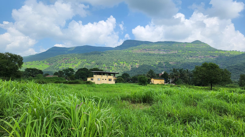 Mountain, Waterfall, Forest & Fog view Agriculture FarmLands for sale Just 5km from Karjat City.