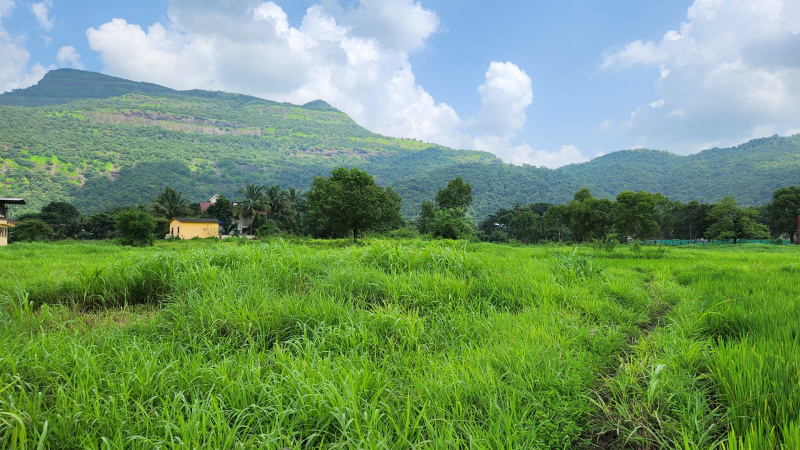 Mountain, Waterfall, Forest & Fog view Agriculture FarmLands for sale Just 5km from Karjat City.