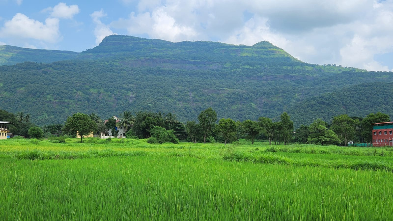 Mountain, Waterfall, Forest & Fog view Agriculture FarmLands for sale Just 5km from Karjat City.  Specifications ✓ Just 5 Km From Karjat City.