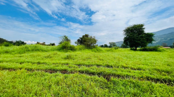 Mountains view 5 acre Canal touch agriculture land for sale 5 km from Karjat city.