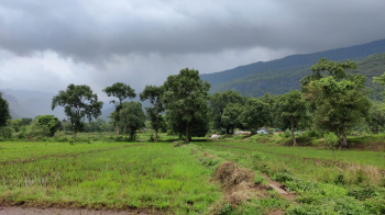 Moutain view 91 Guntha Agriculture land for sale at Village pali, Karjat.