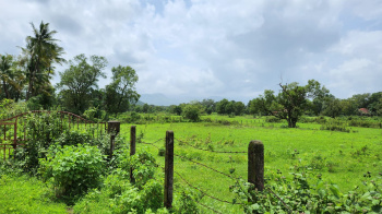 waterfall, Mountains, Fog & Forrst view 48 guntha agriculture land for sale at Karjat.