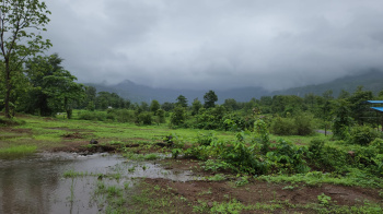 Riverview 6.5 Acre agriculture land for sale 21 Km from Karjat.