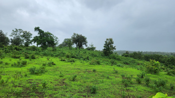 2 Acre agriculture land for sale 17 km from Karjat.