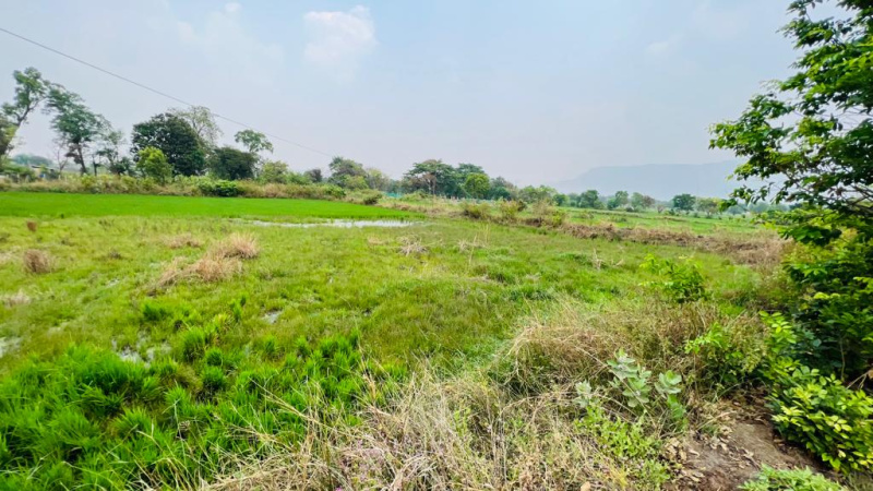 waterfall, Mountains, Fog & Forrst view 52 guntha agriculture land for sale 14 km from Karjat.