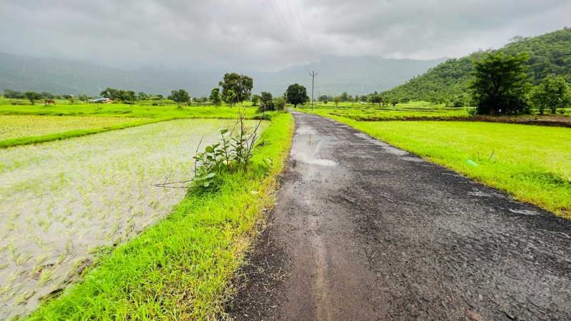 Waterfall, Mountain, Forest & Fog View 48 Guntha land for sale in Karjat.