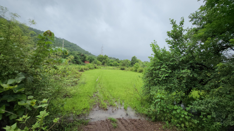 2.5 acre mountain & waterfalls view land for sale 17 km from Karjat.