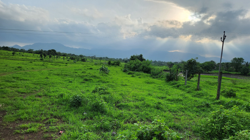 10 Acre + agriculture land for sale 10 Km from Karjat.
