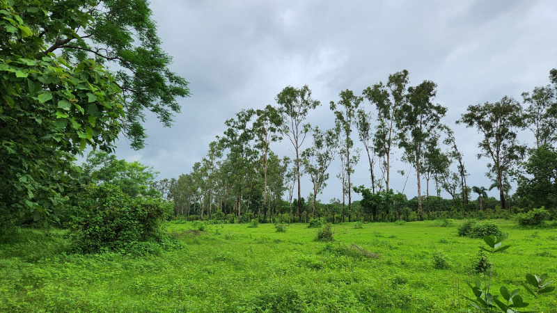 16 Acre agriculture land for sale 10 Km from Karjat.