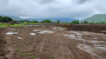 20 Acre agriculture land for sale near Radisson Blu Resort, Karjat.