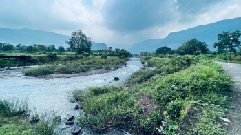 River & Canal touch 73 acre agriculture land for sale 15 km from Karjat.