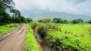20 Acre Gaothan touch land for sale just 4 km from Karjat.
