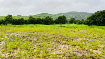 20 Acre Gaothan touch land for sale just 4 km from Karjat.