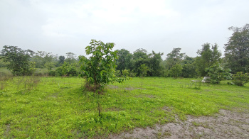 River View 3 Acre Agriculture Land For sale in karjat