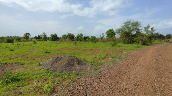 56 Guntha Agriculture Land for sale in karjat, just 1.5 km From Karjat-Murbad Highway