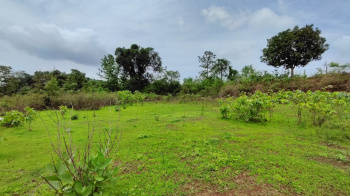 Taar Road Touch 39 Guntha Agriculture Land for sale in karjat .
