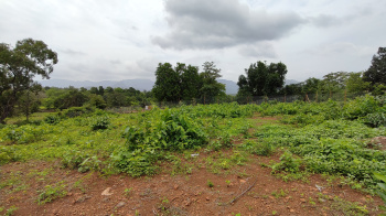 27 Guntha Agriculture Land for sale in karjat.