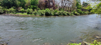 12 month flowing River touch 92 Acre Agriculture land for Sale in Karjat.